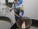 Rybářská mládež na výlovech